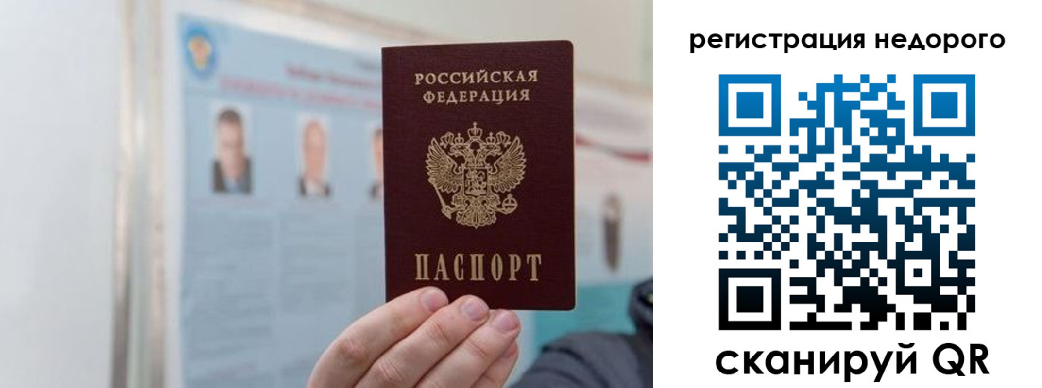 прописка 2025 в Шебекино